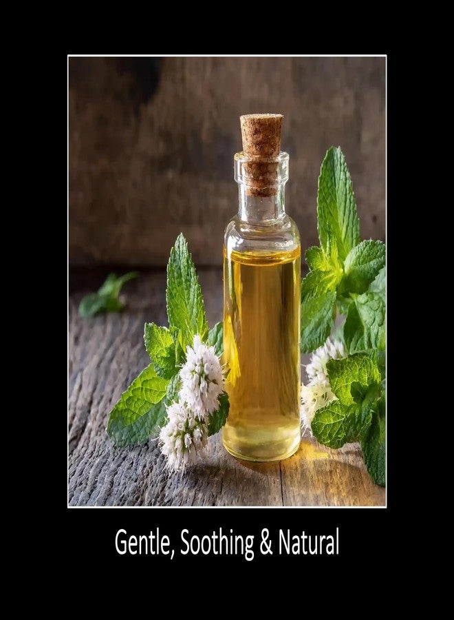 دانا زيت النعناع الأساسي من دانا: نقي، غير مخفف (2 أونصة سائلة) - Image 3